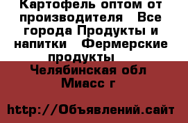 Картофель оптом от производителя - Все города Продукты и напитки » Фермерские продукты   . Челябинская обл.,Миасс г.